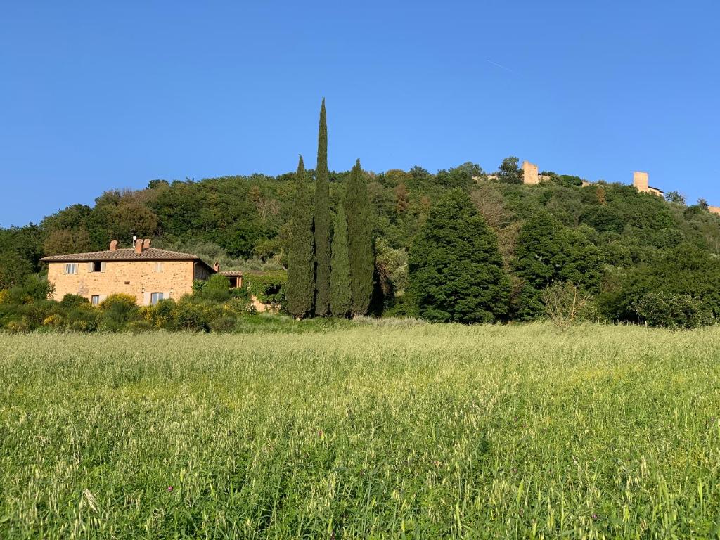 Podere FonteBernardi casa con vista su Pienza