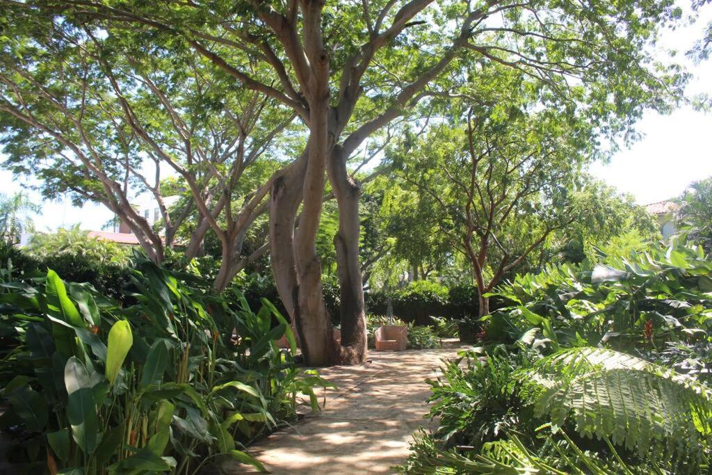 Villa Gardens, Beach Front (Santuarios de la bahia