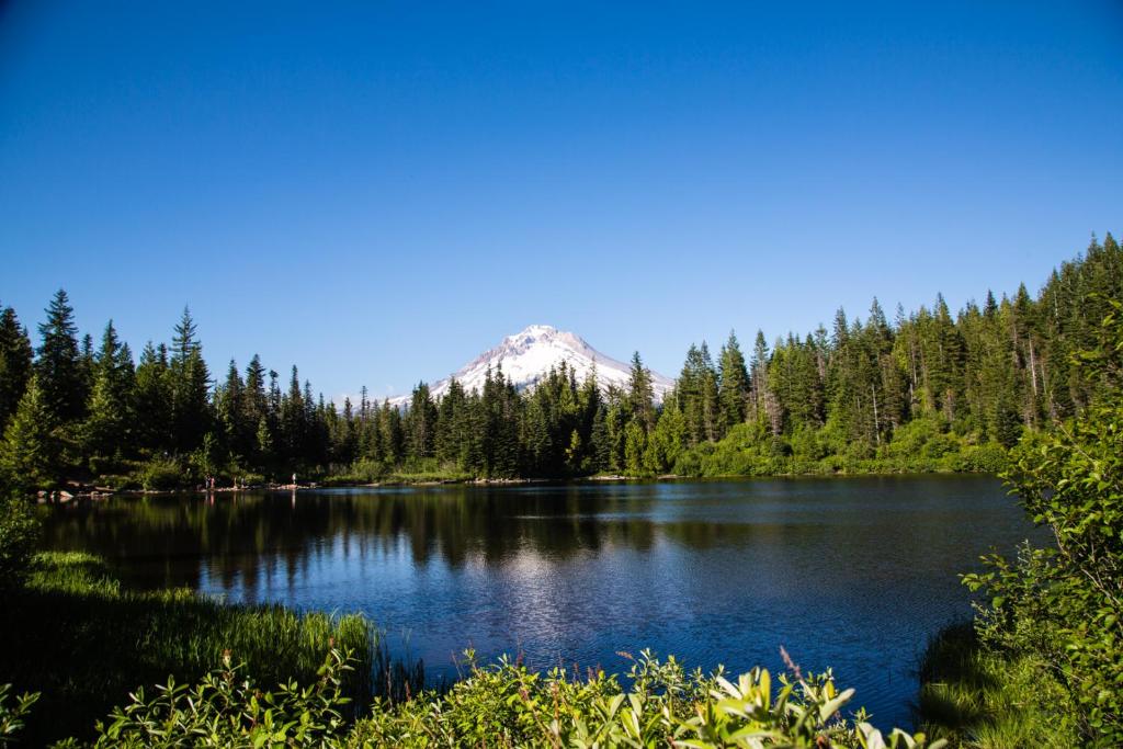 Mount Hood Village Premium Yurt 4